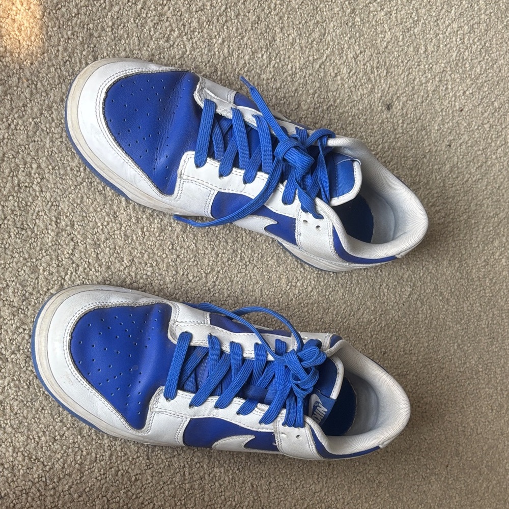 Nike Blue and White Nike dunks
